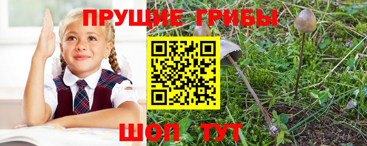 Галлюциногенные грибы мицелий  Вход с VPN  Карачаевск 