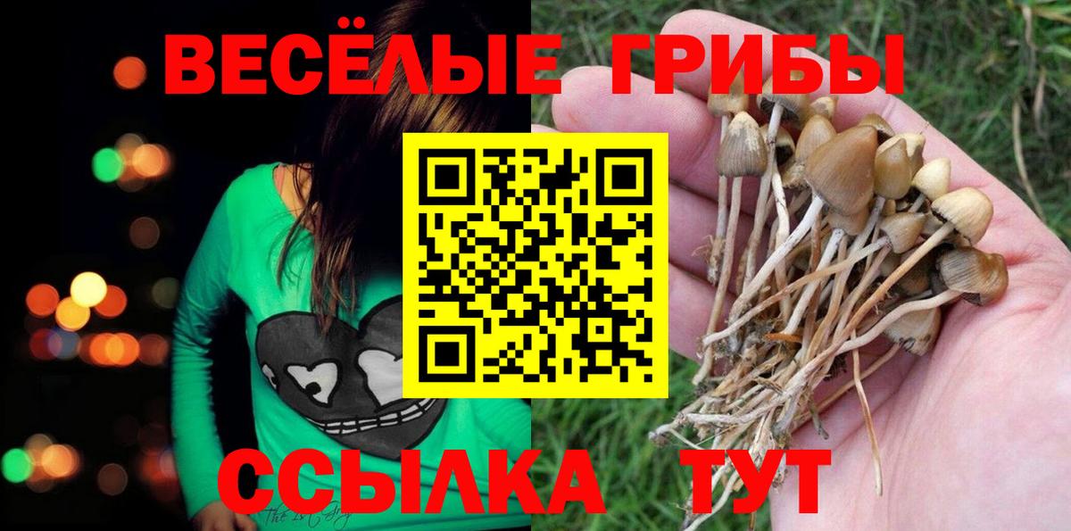 Псилоцибиновые грибы мухоморы Карачаевск